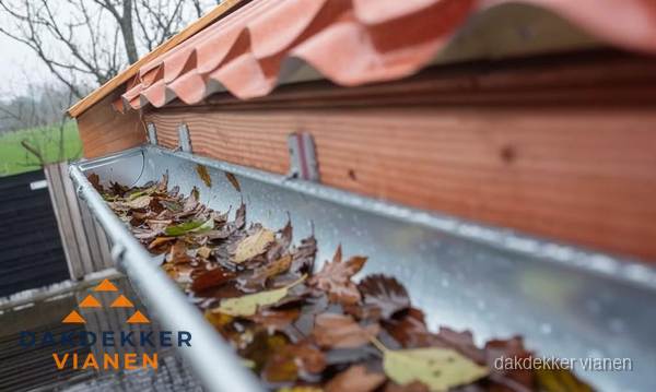 Dakgoot reiniging met de hand in Vianen Dakgoot reiniging met de hand in Vianen